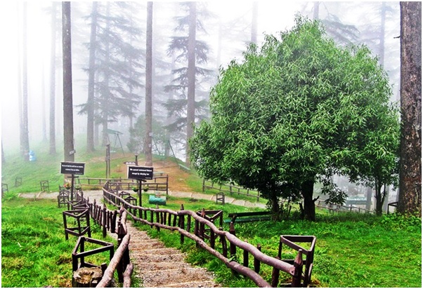 Dhanaulti Eco Park- 8 Places to Explore while on a Delhi to Mussoorie Trip