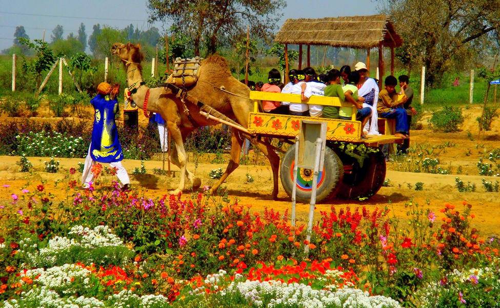 Weekend Family Getaways Near Delhi While Staying Luxury Hotels in Delhi