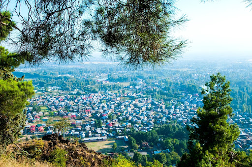  Ranikhet