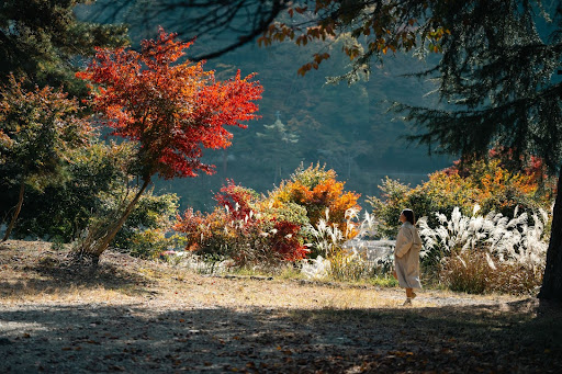Kanatal