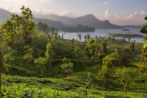  wayanad kerala
