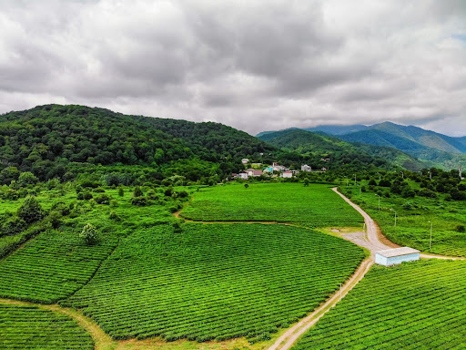 Coorg, Karnataka