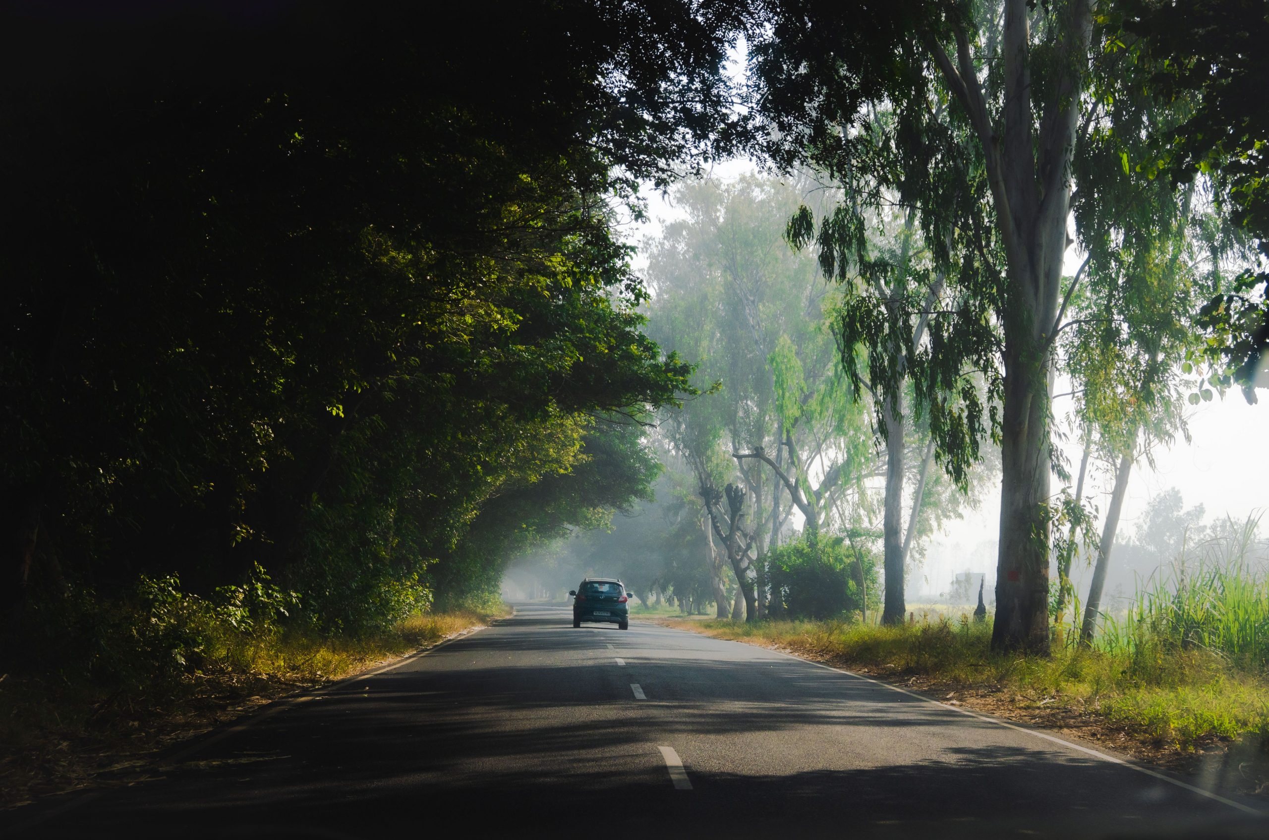 10 Best Road Trips in India That You Must Try in 2024