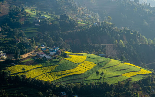 dhanaulti