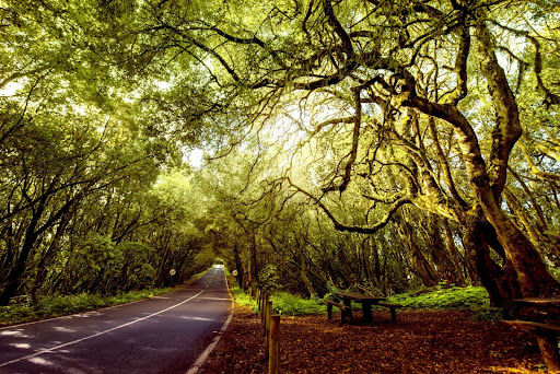 bangalore to coorg