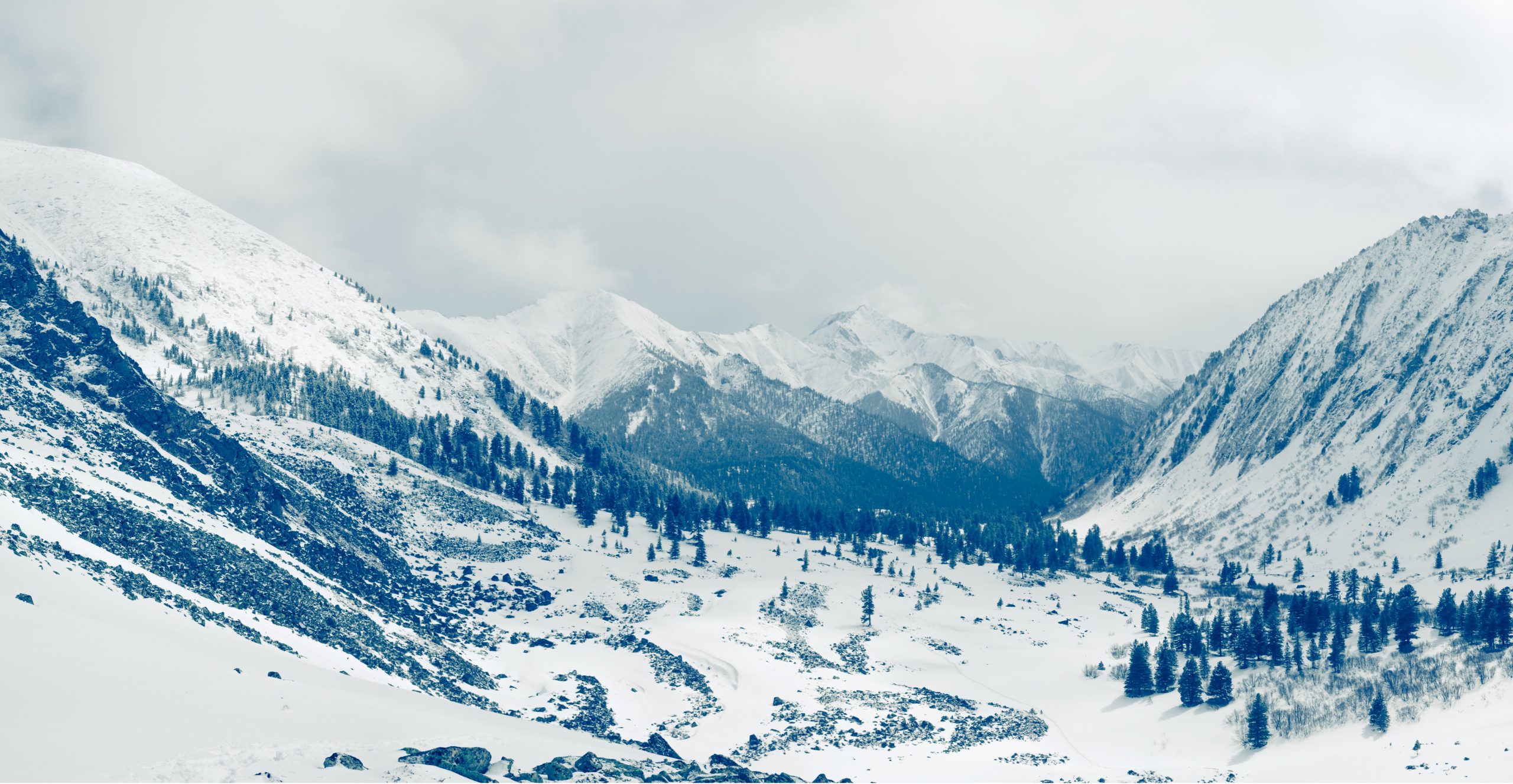 Top Winter Tourist Destinations in India for 2025