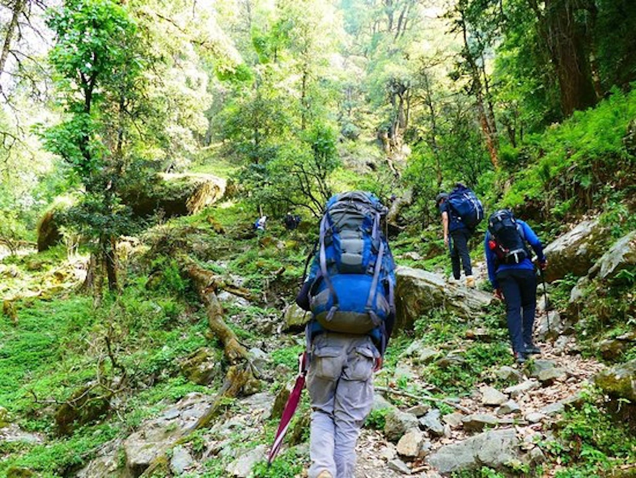 5 Best Trekking Places Near Mussoorie