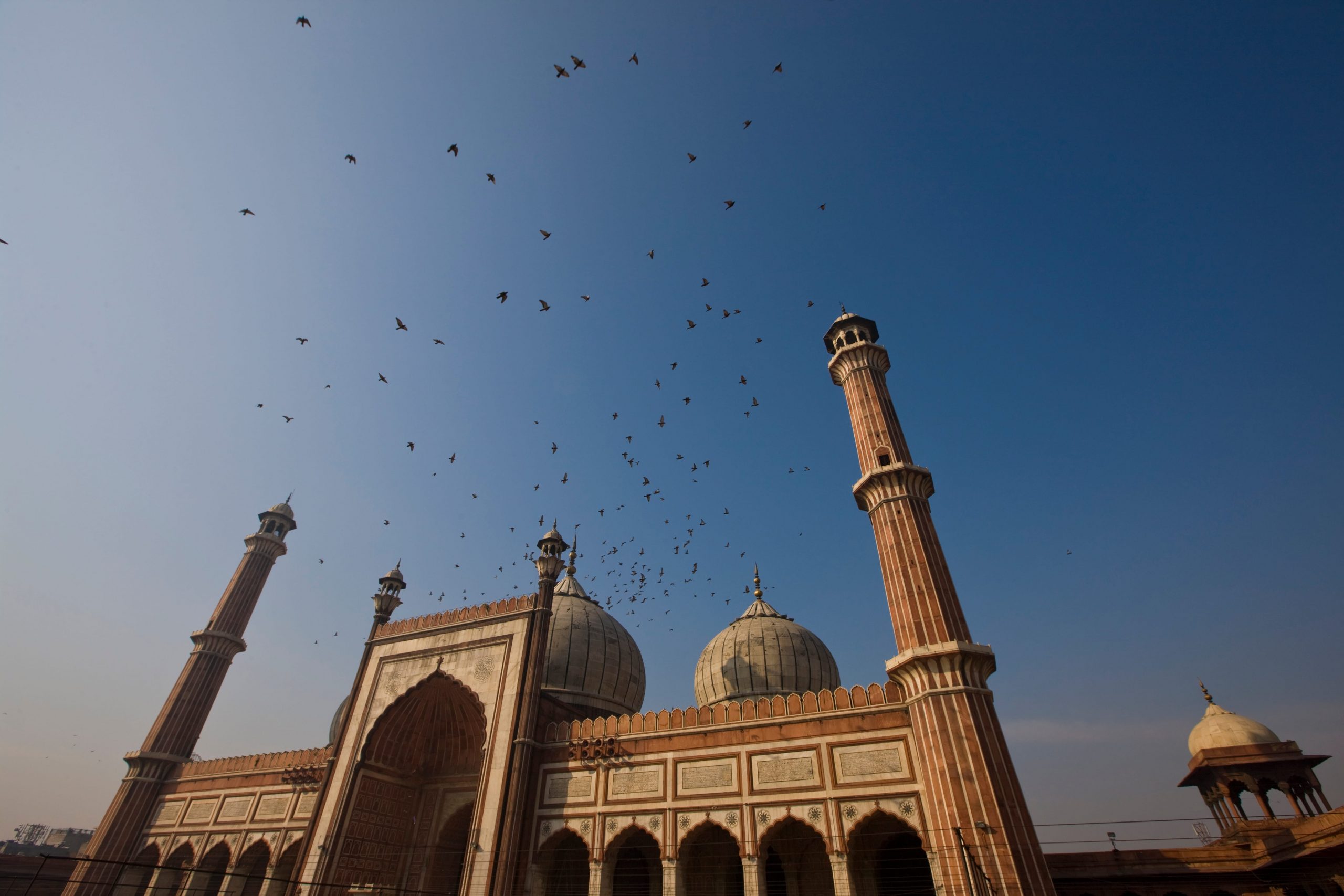Jama Masjid Delhi: History, Location & Namaz Timings
