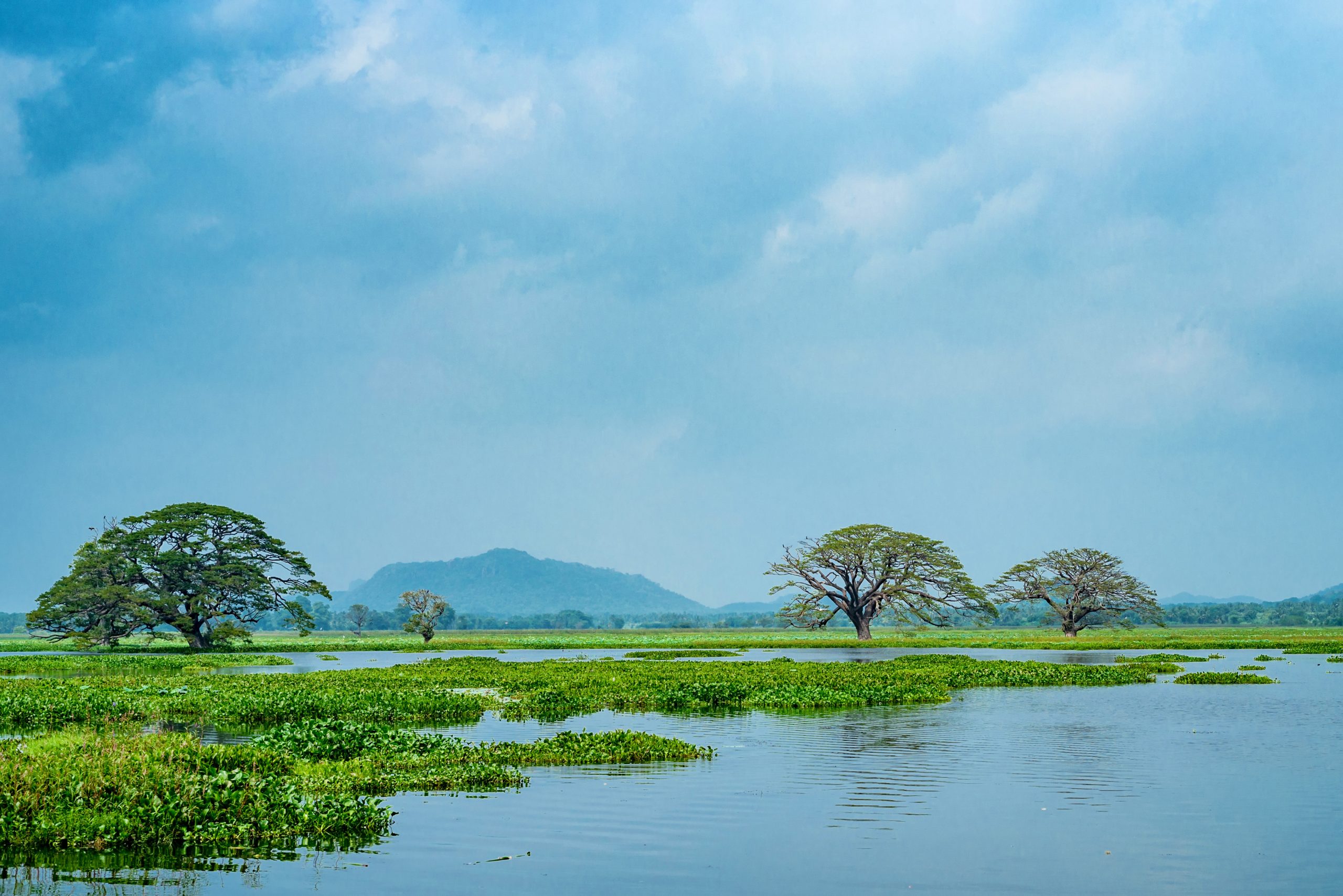 Best Peaceful Places to Visit in India