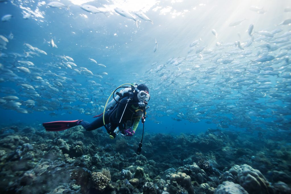 Best Places For Scuba Diving In India: Ultimate Adventure Guide
