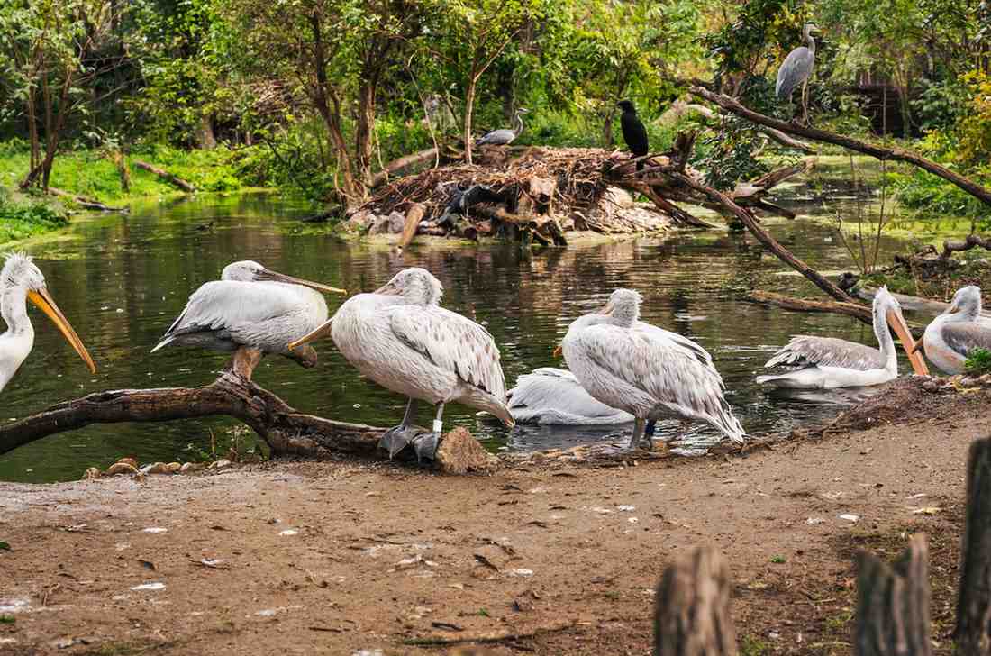 Things to Do in Greater Noida: Top Places to Visit, Attractions & Fun Activities