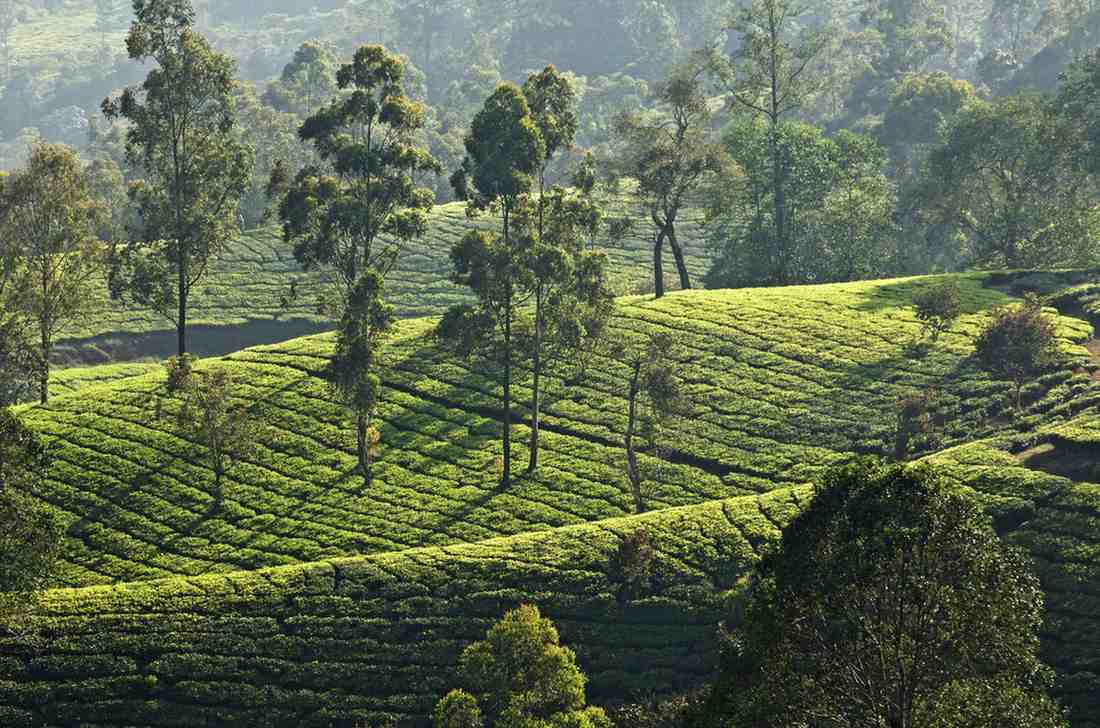Best Places to Visit in May in India: Top Tourist Destinations & Cold Getaways