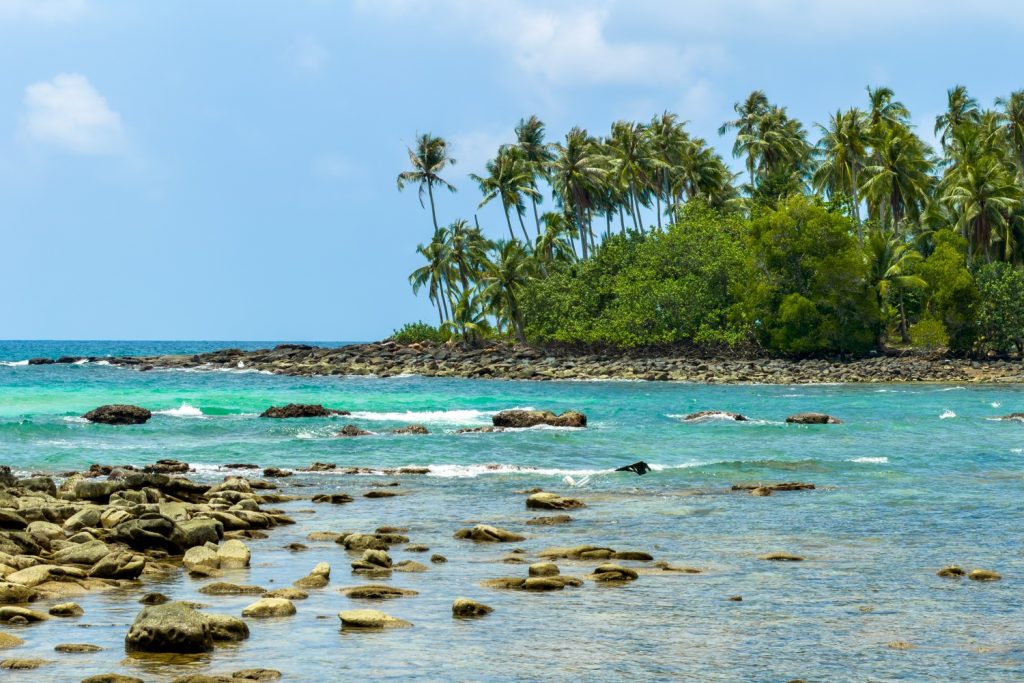 Best Places to Visit in November in India for Pleasant Weather & Scenic Trips