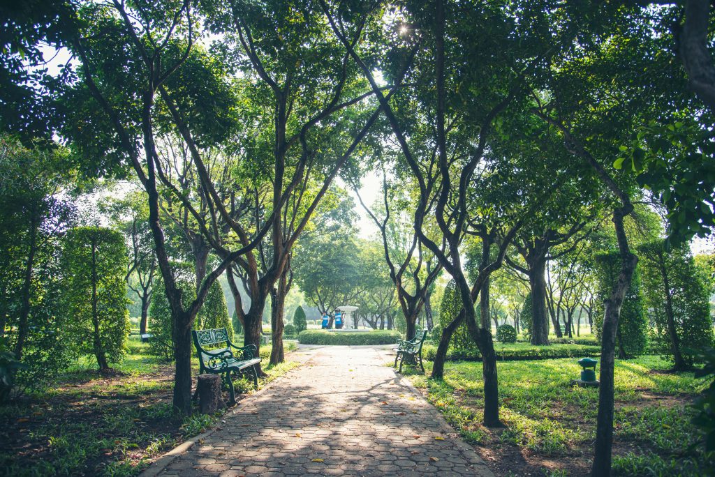 City Park, Greater Noida: Attractions, Timings & Things to Do