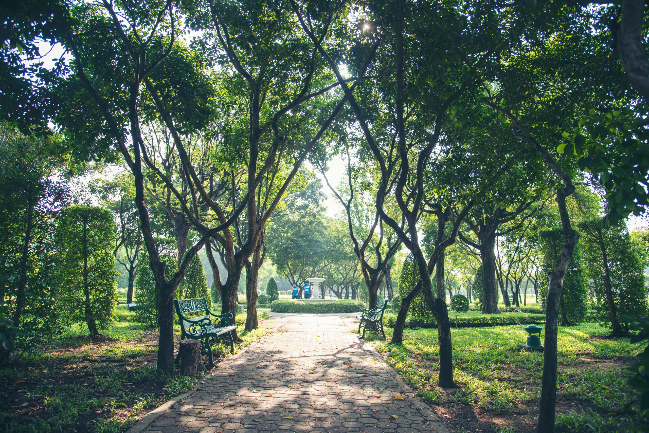 City Park, Greater Noida: Attractions, Timings & Things to Do