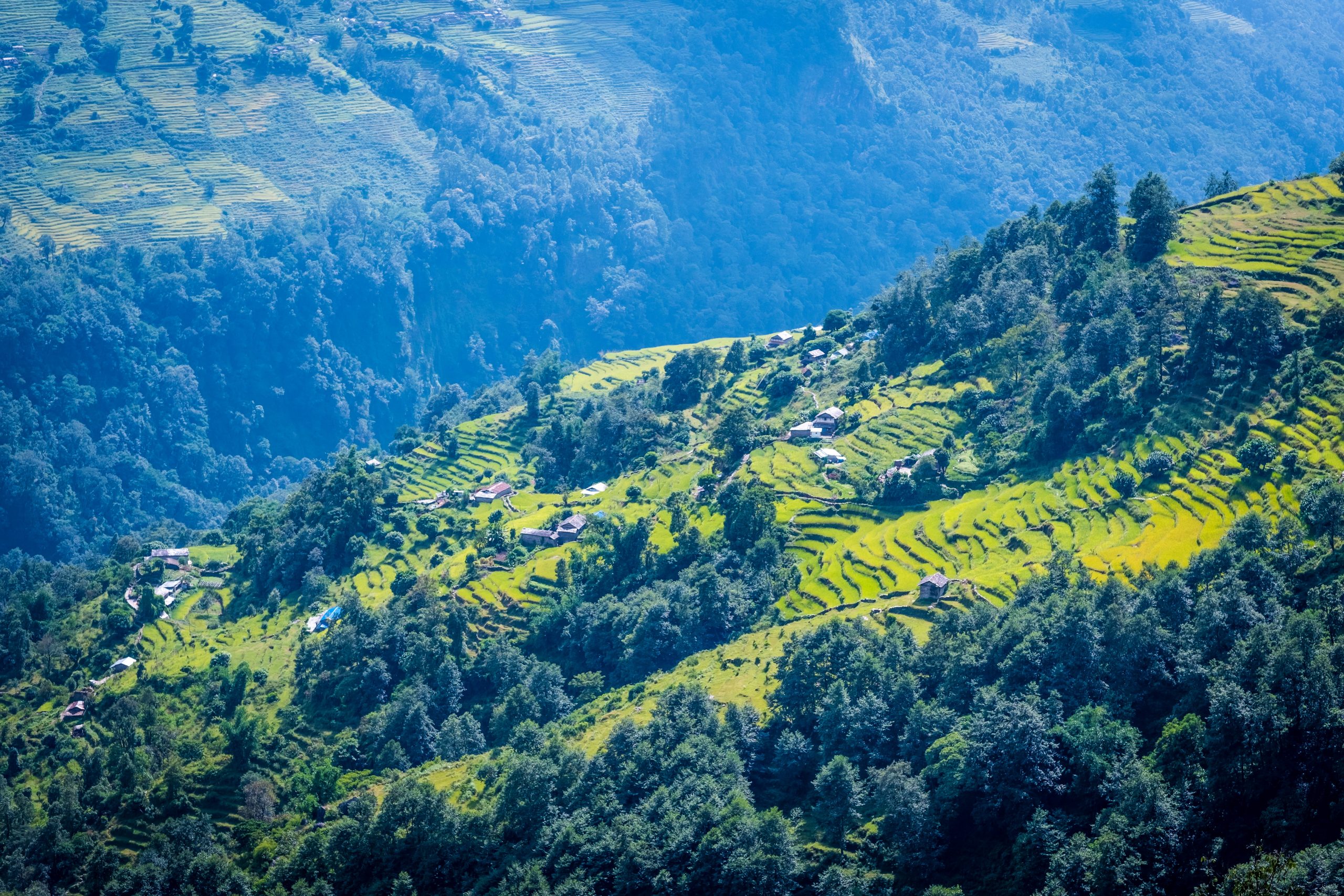 Dhanaulti, Uttarakhand: Places to Visit, Things to Do & Best Time to Visit