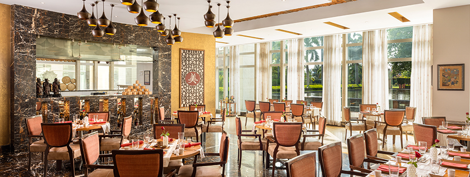 Jaypee gallery
