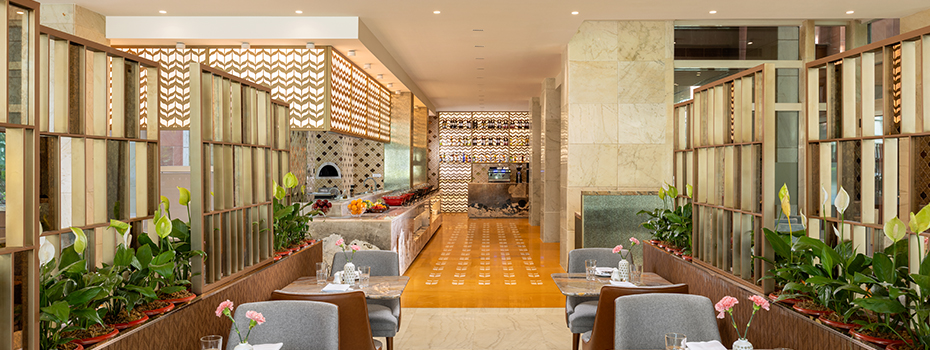 Jaypee gallery