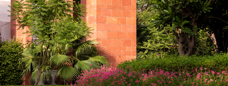 Jaypee gallery